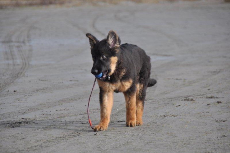 Fotos/2010vervolgTaylor/Cliff/DSC_0021[1].jpg
